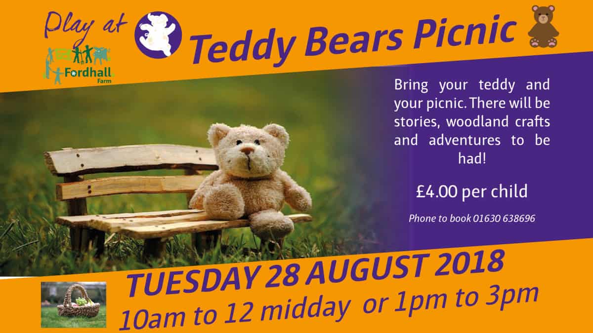 Teddy Bears Picnic - Eat, Shop & Play at Fordhall
